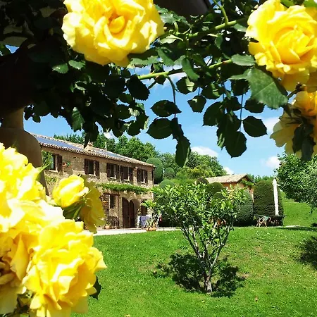 Podere Del Fagiano 4*