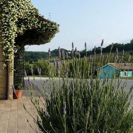 ゲストハウス Podere Del Fagiano