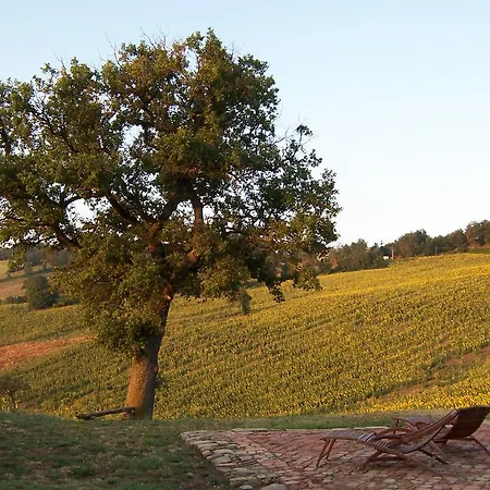 Podere Del Fagiano Guest house Tolentino